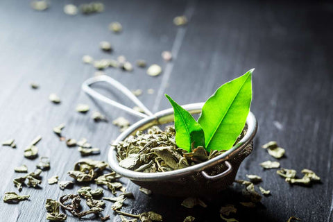 8 Criteria in Selecting the Best Green Tea Leaves
